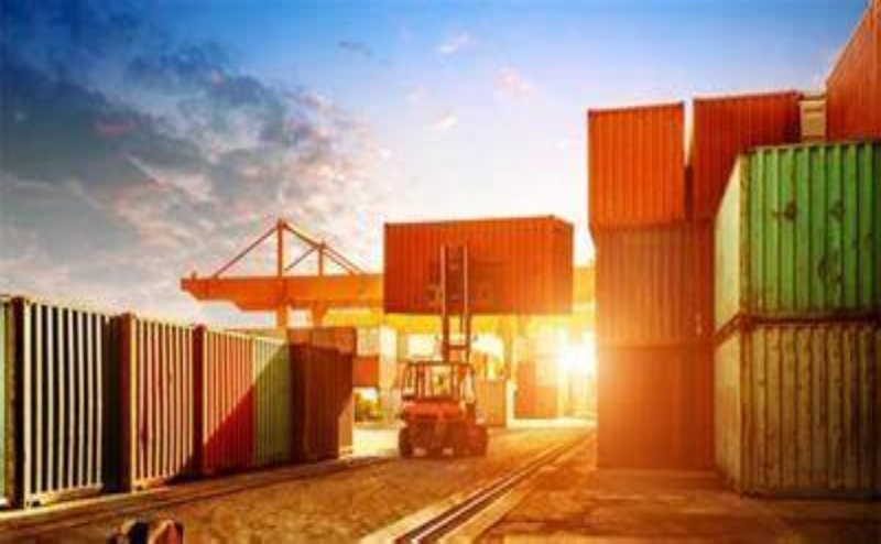 Assistant for Custom Clearance per DDP& DDU